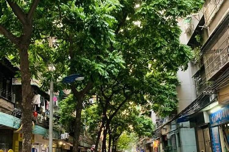 办公室家具有甲醛,甲醛超标了我怎么办
