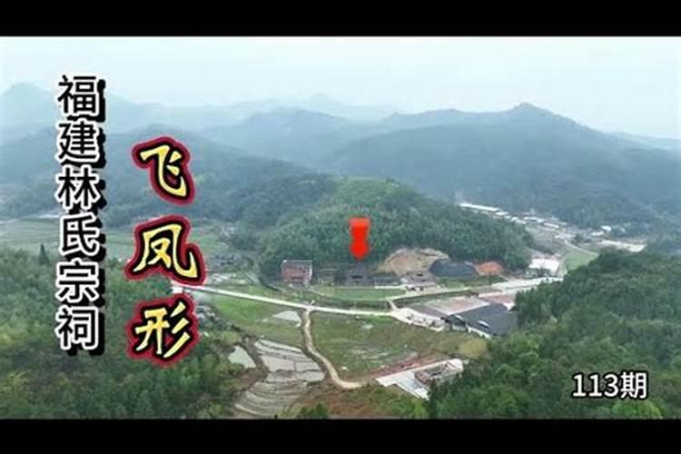 名人风水,华人前首富,香港“李超人”祖坟