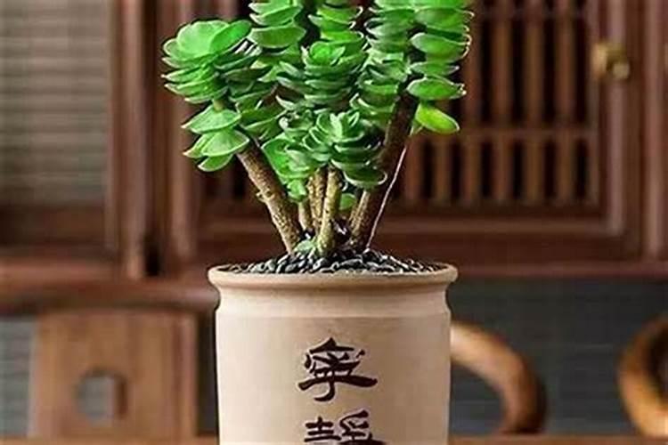 大门瓷砖什么颜色招财吉利