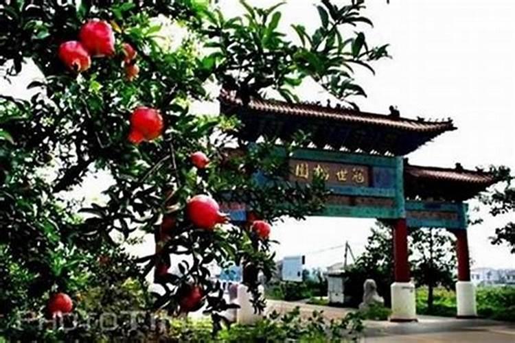 枣庄哪有风水师？