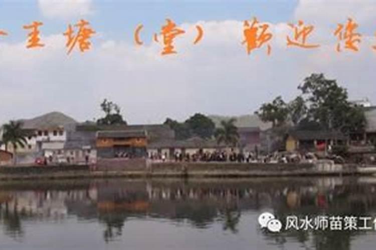 “双飞蝴蝶格”的网红日课真的很好吗？