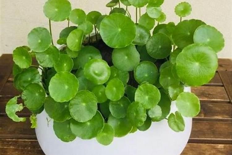 公墓风水的选择要点