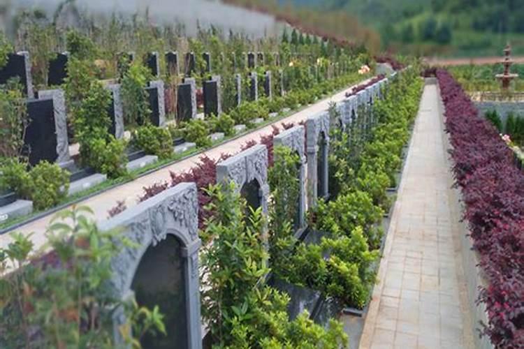 青龙位置栽什么树旺财青龙位置栽哪种树旺财