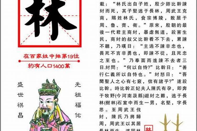 爸姓龙➕妈姓林取什么乳名？