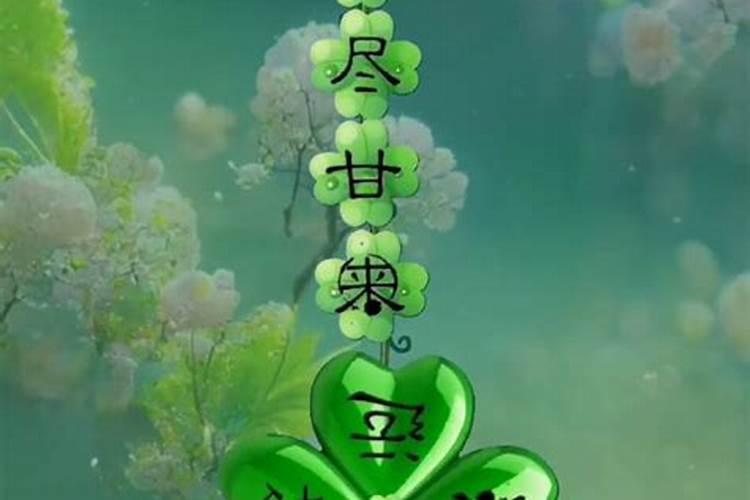 哪个学派的风水最准？