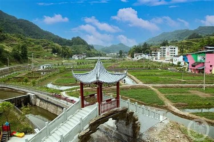泸州老窖(酒道师)酒多少钱一瓶