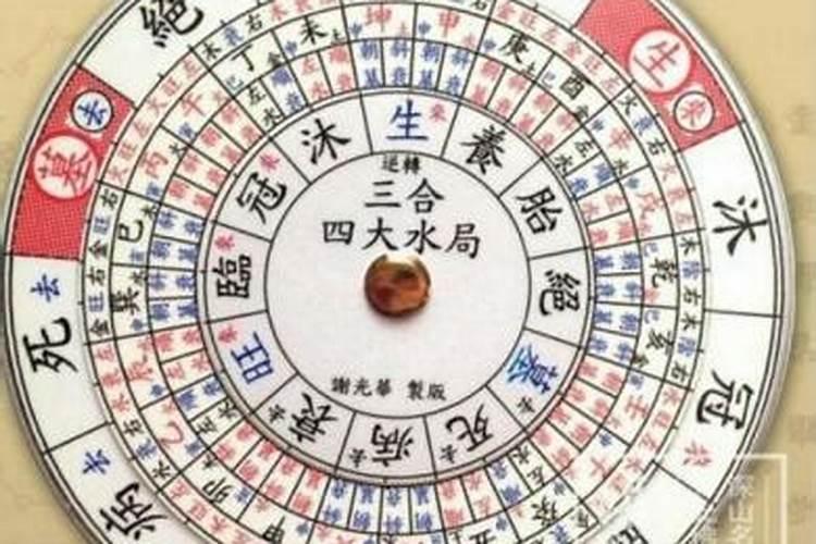 肖棠木是做什么的？