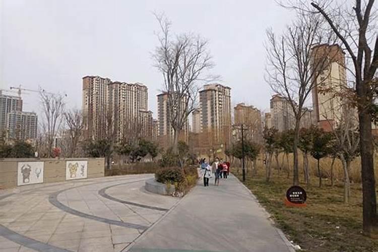 财气稀薄,可以在家里这几个地方建储水池