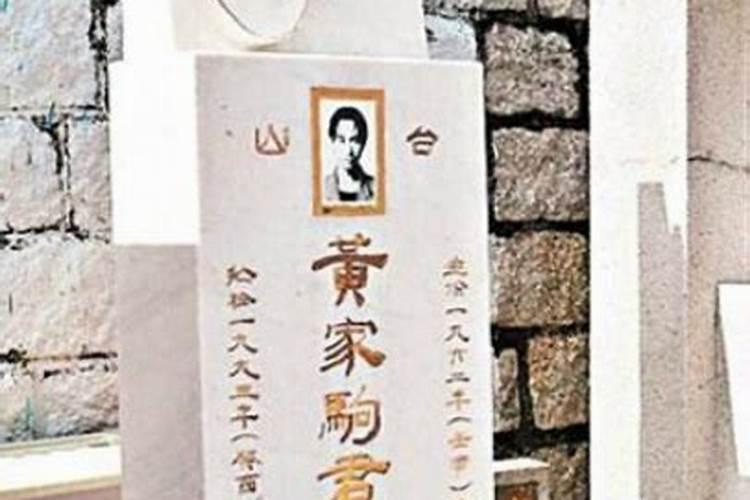椰子树寓意和象征风水