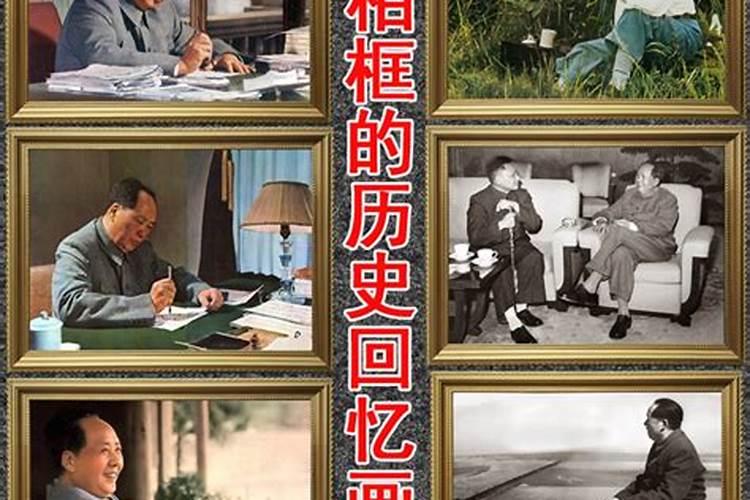 养猫对风水来说好不好？