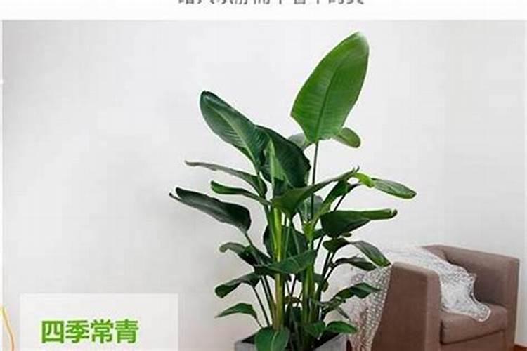 艮山坤向的阴宅利于谁