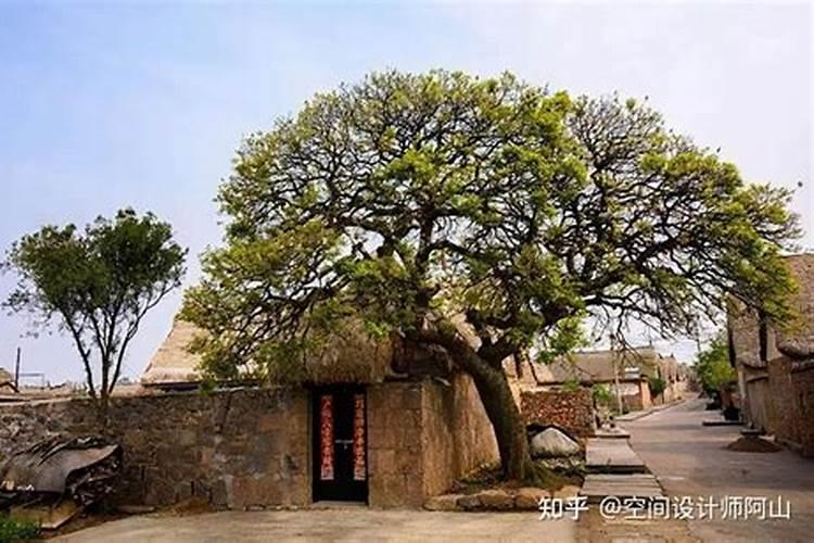 入户见什么画最吉利