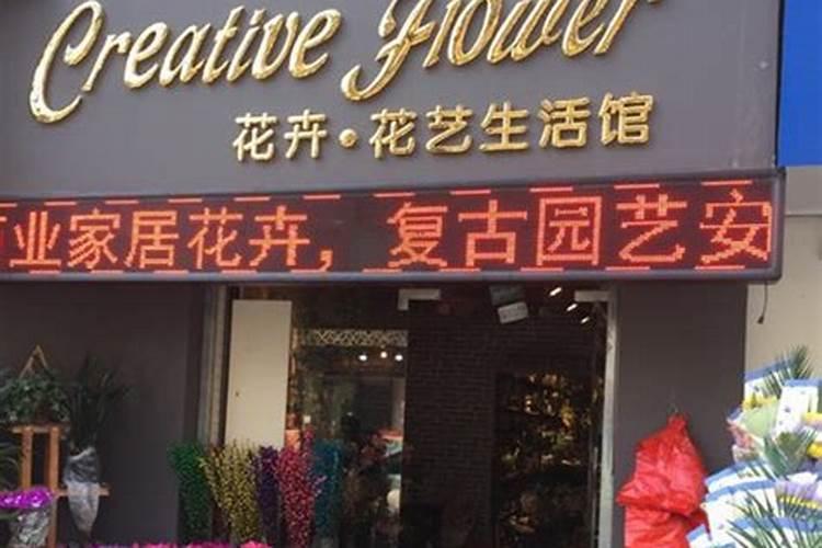 店铺旺财植物 店铺摆放什么植物招财