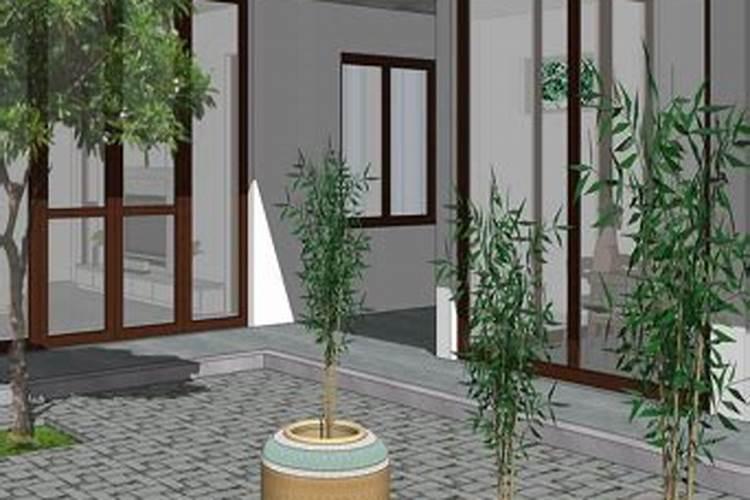 客厅显得很空旷,摆放什么植物会变美观呢？