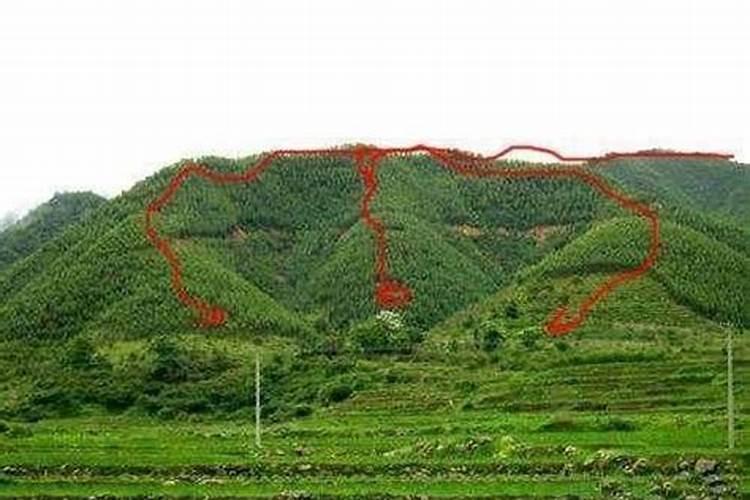 生儿子风水最准的方法家里添丁求子摆放什么好