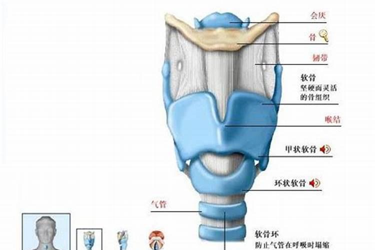 家居咽喉地带 玄关风水注意要点