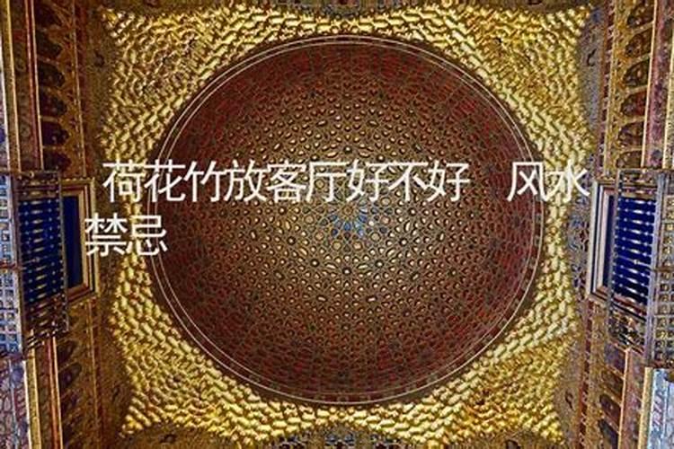 荷花的风水作用和禁忌