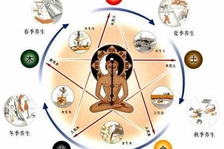 大棚种植什么最旺财运风水