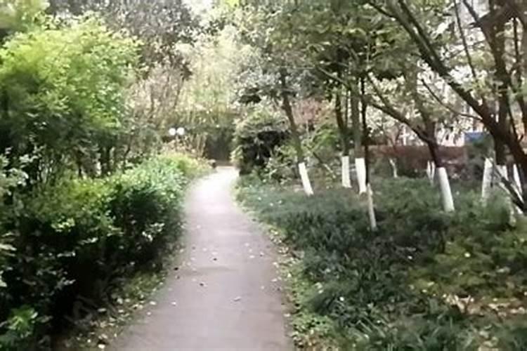 达州十大富人小区