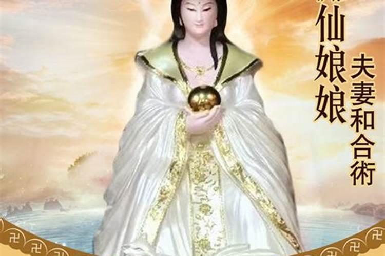 招财树要怎么养 放在什么位置旺风水
