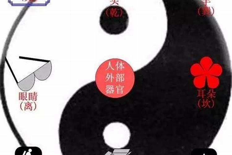 健康运势不好佩戴什么化解,提升健康运的风水饰品
