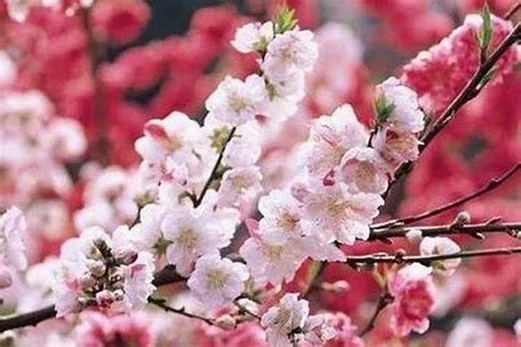 请教风水大师:女孩子卧室只有一个床头柜,应该放在床的右边还是左边比较...