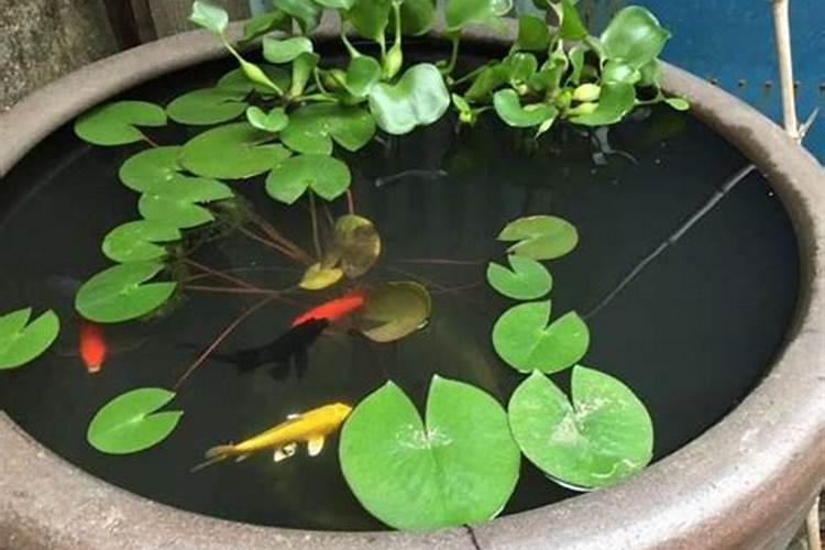 床下收纳要谨慎 风水知识要了解