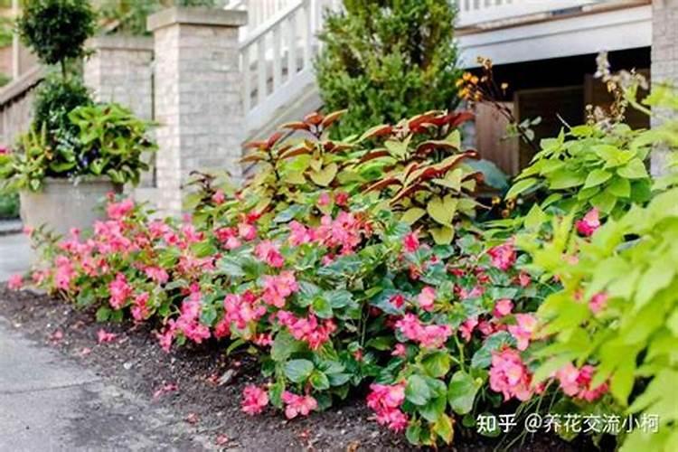 老板桌后墙靠卫生间好不好？