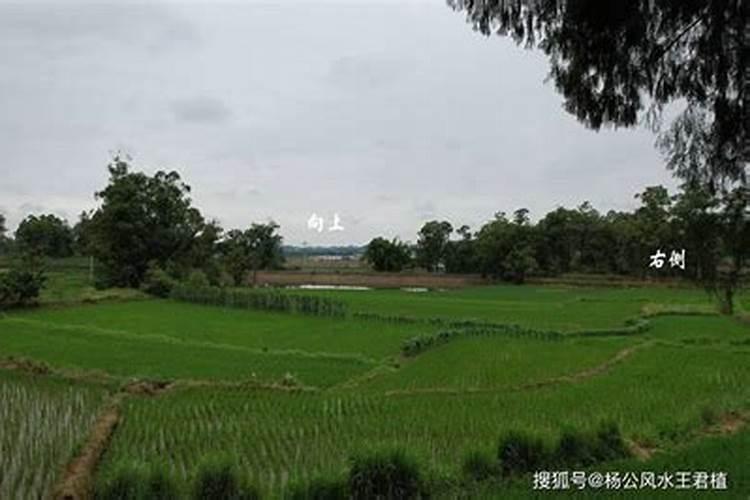 怎么改变自身风水提高财运 怎么招财