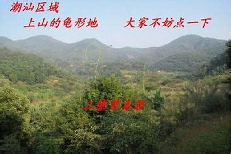 大家感觉汕尾陆丰的风水好吗？