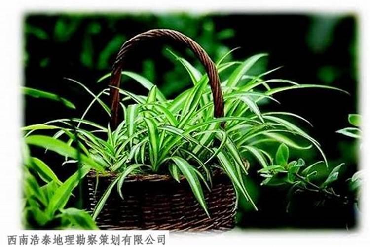 赞美风水宝地的句子