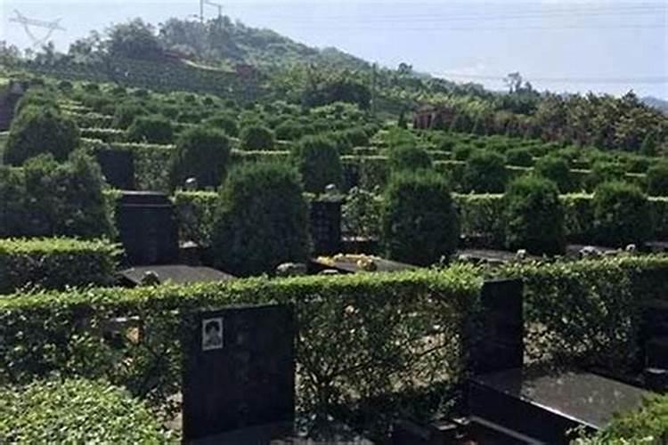 “风水”与“因果”相悖吗