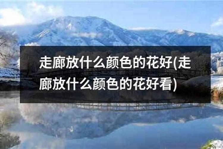 宅前花坛四方形影响风水吗