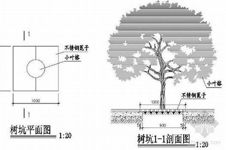 风水宝地之谜