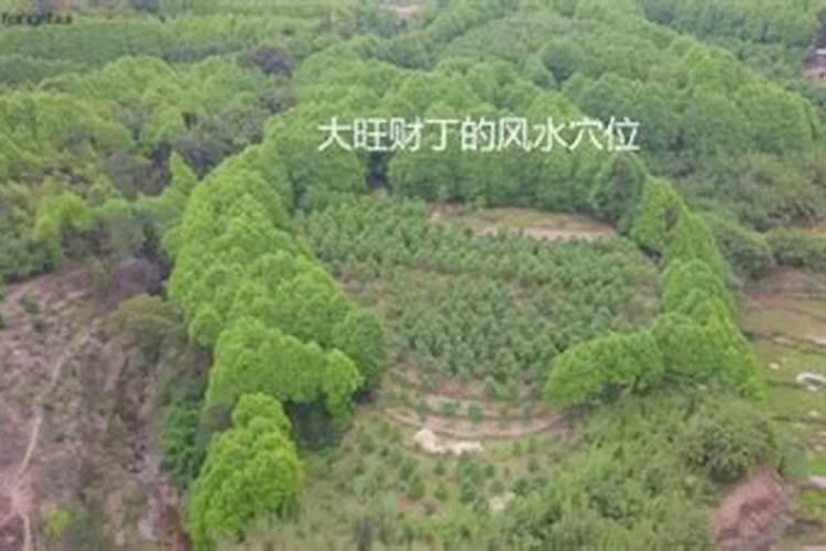 房子侧面有坟风水好吗 看坟墓风水