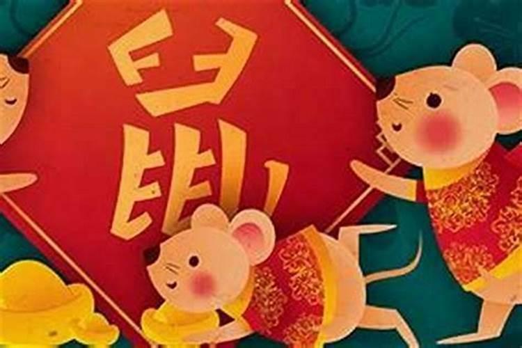 属鼠的人五行都属水吗,属鼠的人为什么说是属水