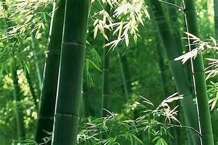 谁知道哪里有算命准的地方？南京人家