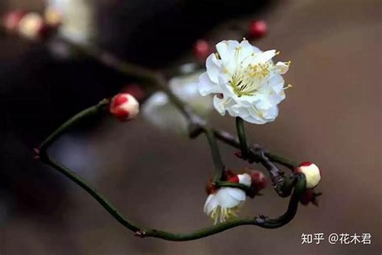 房子的风水格局怎么看