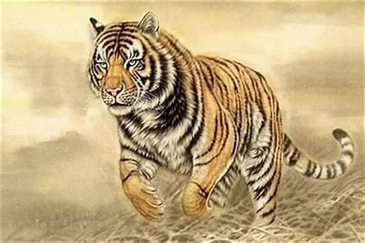 2022年6月天坑在哪个位置 有哪些判断方法