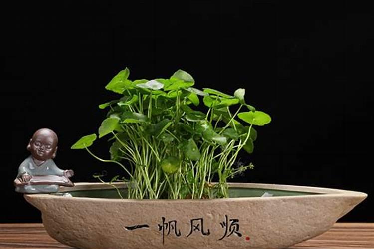 不要的碗怎么处理吉利