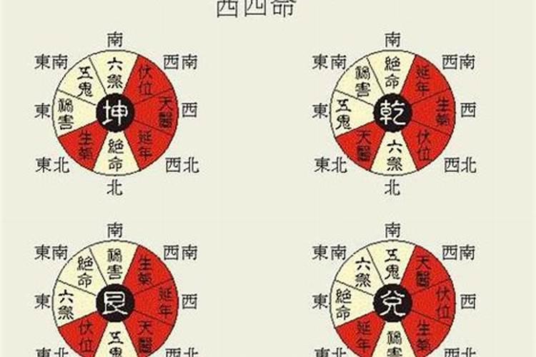 龙鱼适合养几条,用多大的缸合适