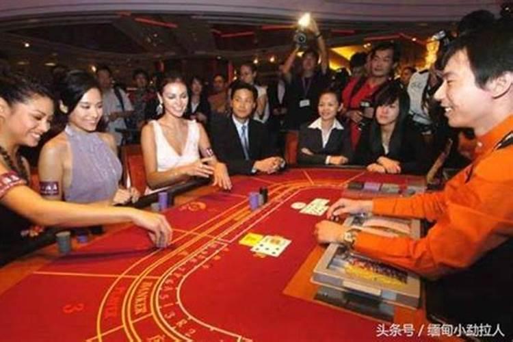 养什么龟最有灵性镇宅
