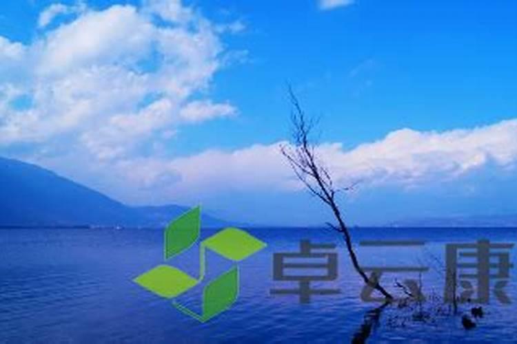 报君知是双男主吗