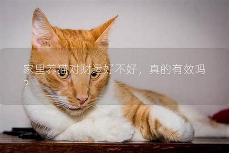 别墅周围有水好吗？
