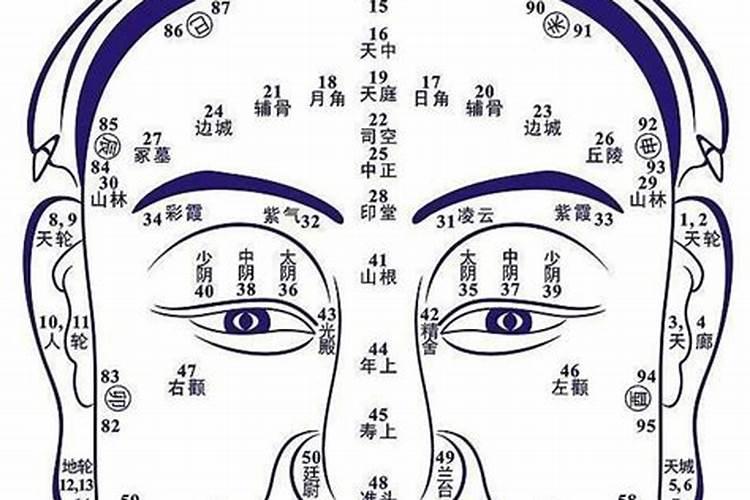 六爻是啥意思