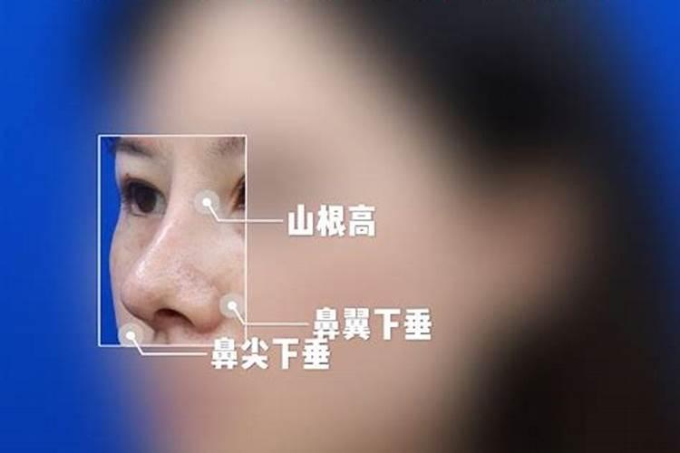 八卦穷通天地理,六爻搜尽鬼神机是什么意思