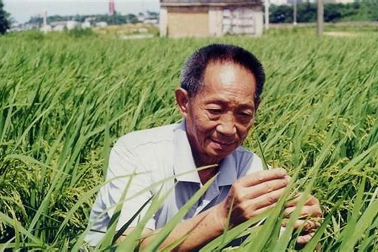 长春哪个地方风水最好