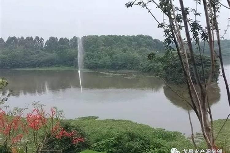 问风水先生我家宅基地门前有个大鱼塘.右边是大马路.左边是农田,这个宅 ...