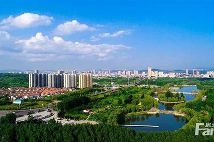 琴瑟和鸣颂金婚