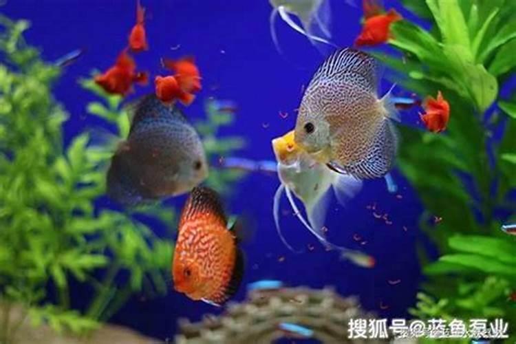 如果房子买在墓地附近,风水是不是真的很差,有没有破解之法